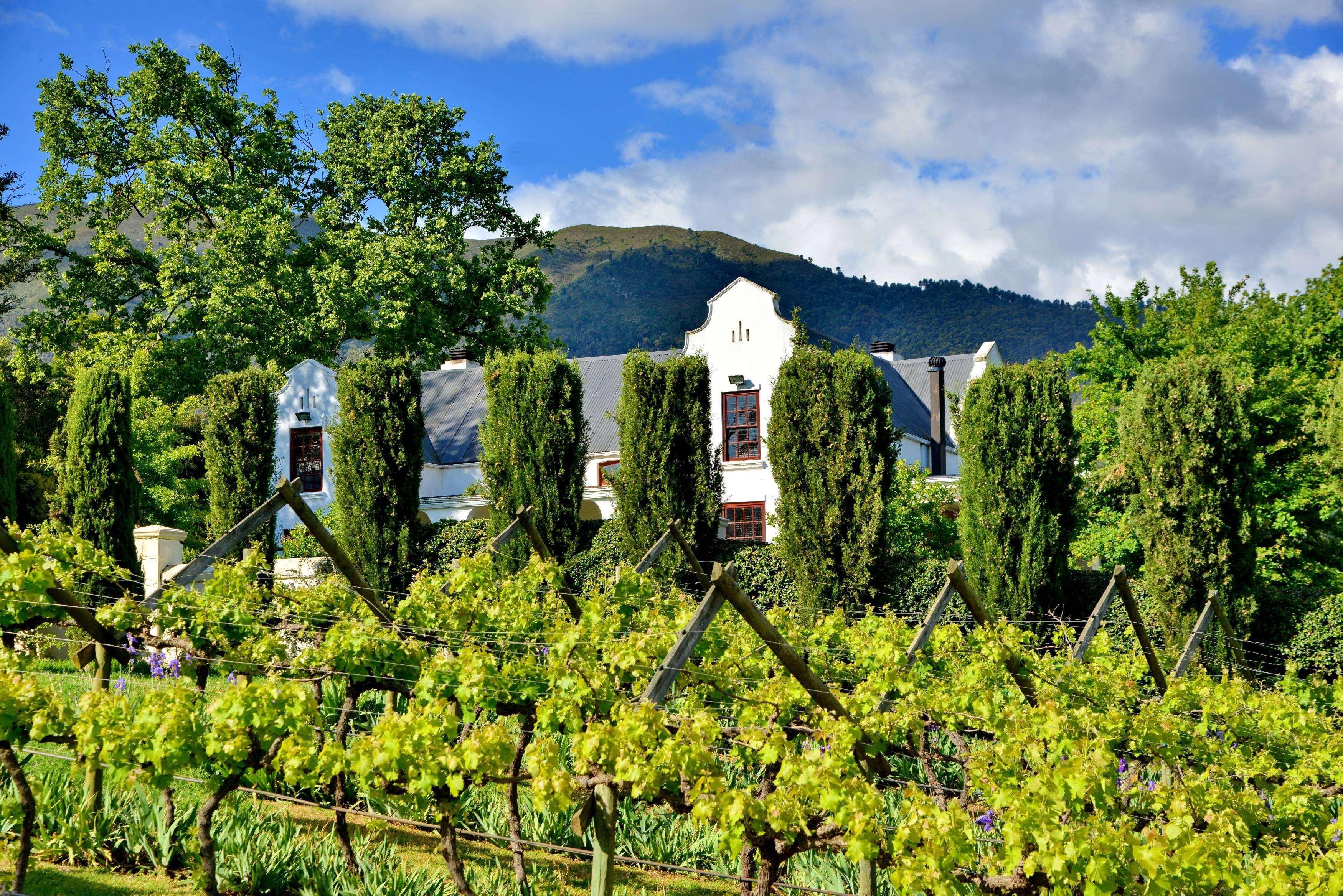 Отель Val Du Charron Wine & Leisure Estate Веллингтон Экстерьер фото